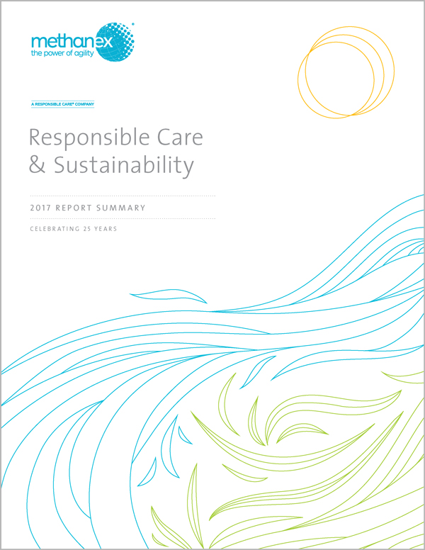 2017 Report cover